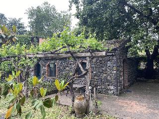B&B Il Glicine fotoÄŸrafÄ±