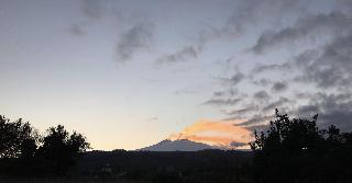 B&B Il Glicine fotoÄŸrafÄ±