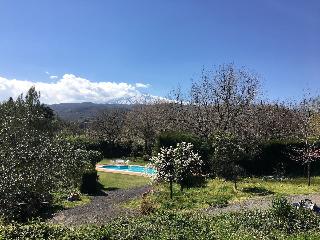B&B Il Glicine fotoÄŸrafÄ±