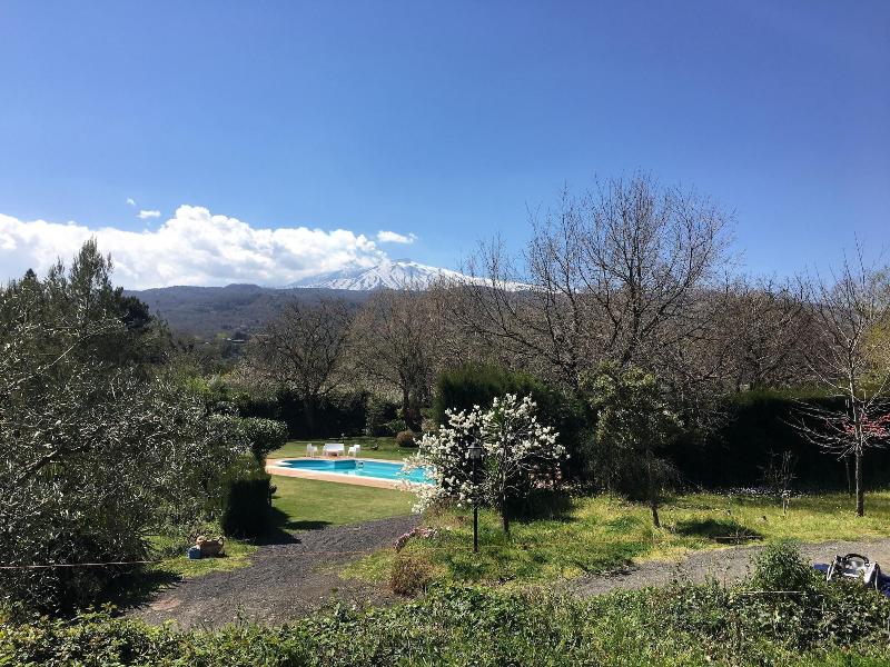 B&B Il Glicine - Teras