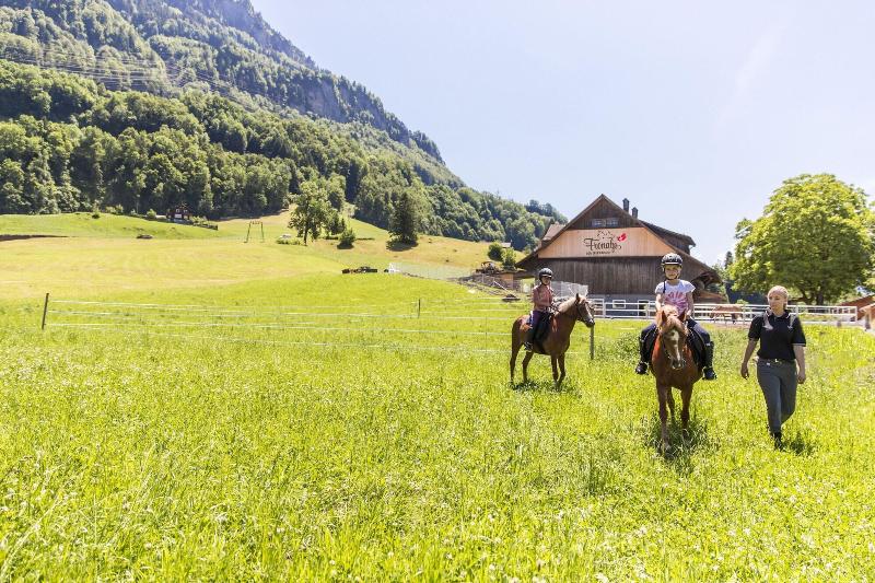Swiss Holiday Park Resort - Aktivite