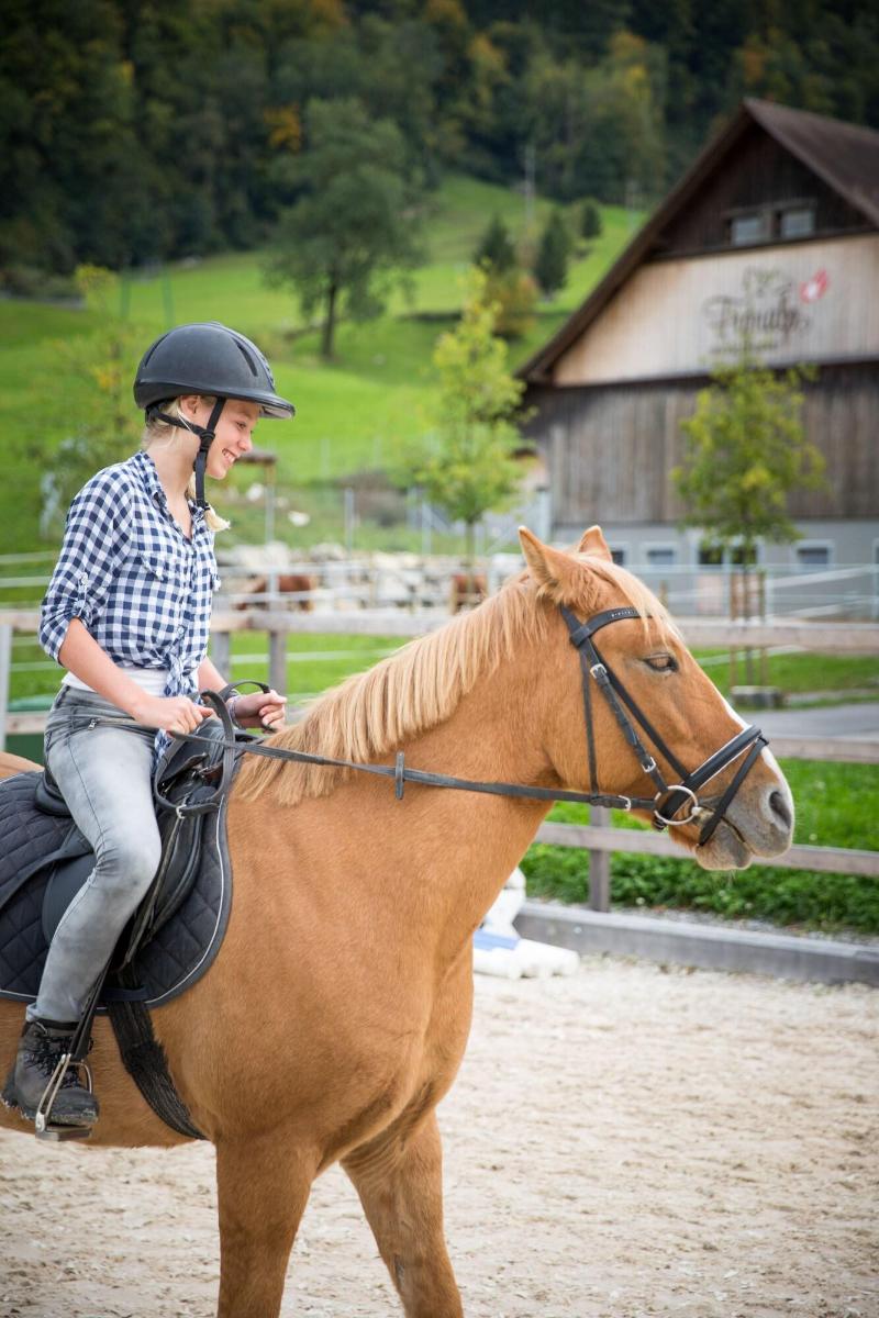 Swiss Holiday Park Resort - Aktivite