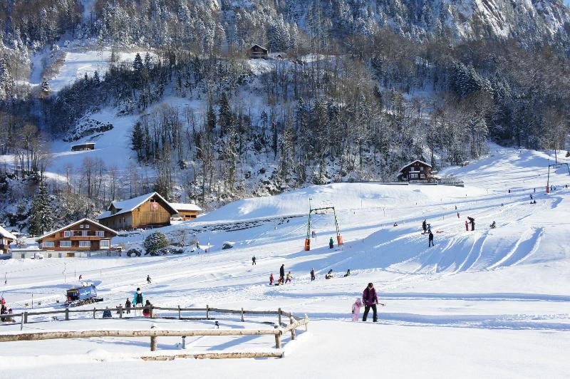 Swiss Holiday Park Resort - Aktivite