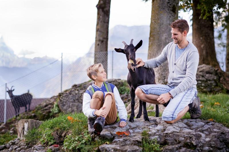Swiss Holiday Park Resort - Aktivite
