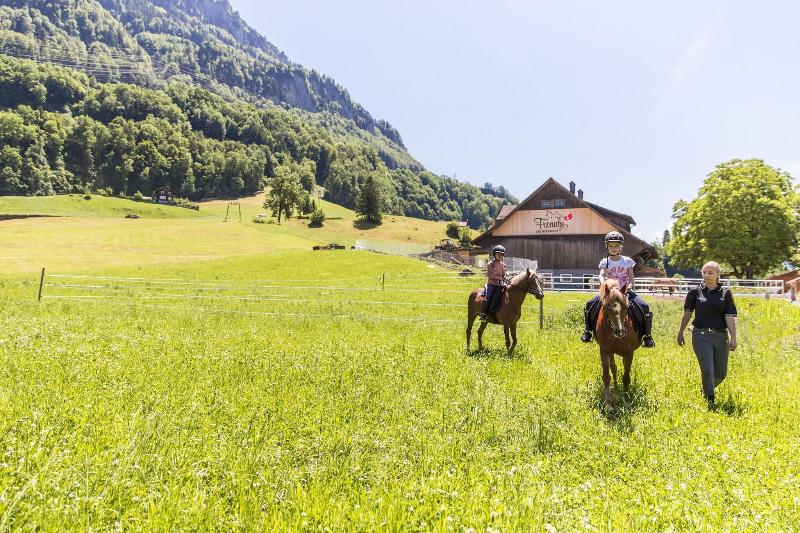 Swiss Holiday Park Resort - Aktivite