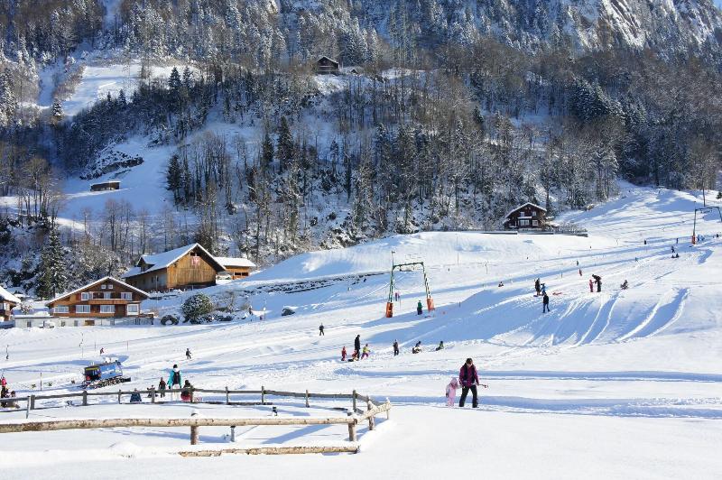 Swiss Holiday Park Resort - Aktivite