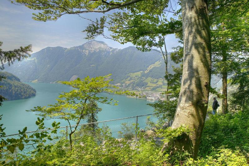 Swiss Holiday Park Resort - Genel