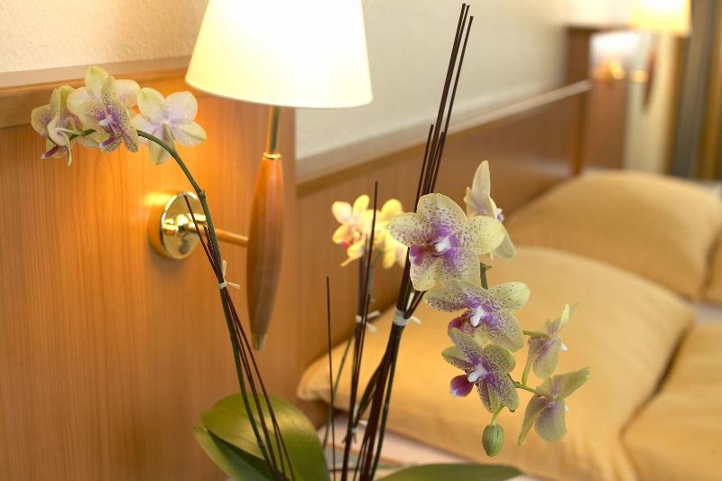 Swiss Holiday Park Resort - Oda