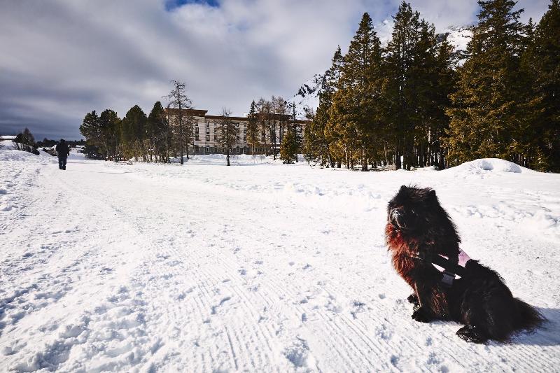 Maloja Palace - Aktivite