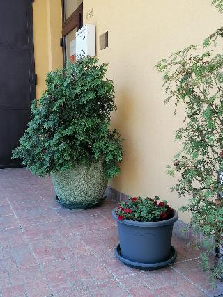 Hotel Arko fotoÄŸrafÄ±