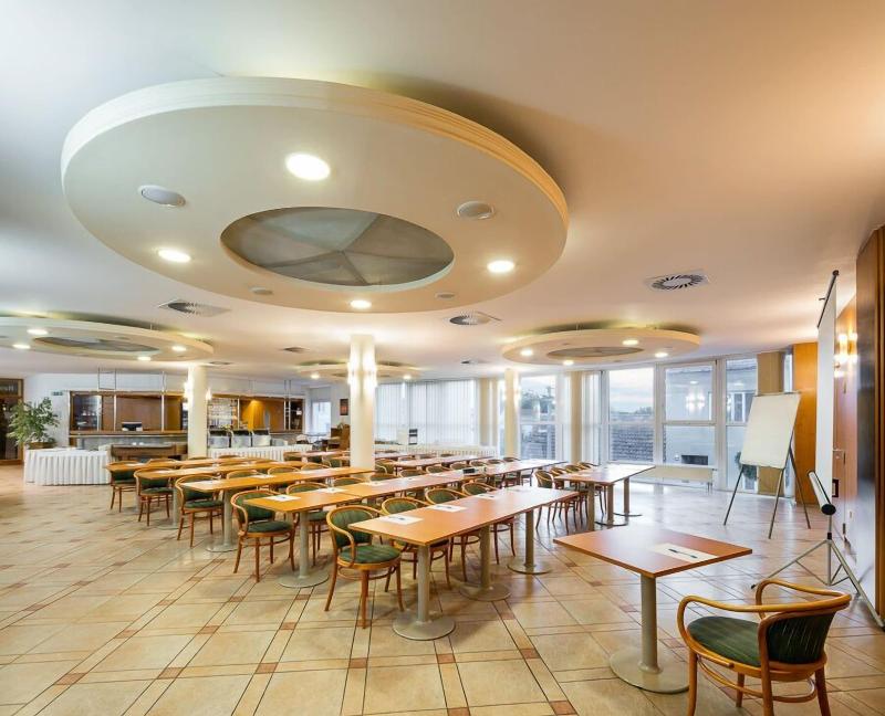 Wine Wellness Hotel Amande - Toplantı