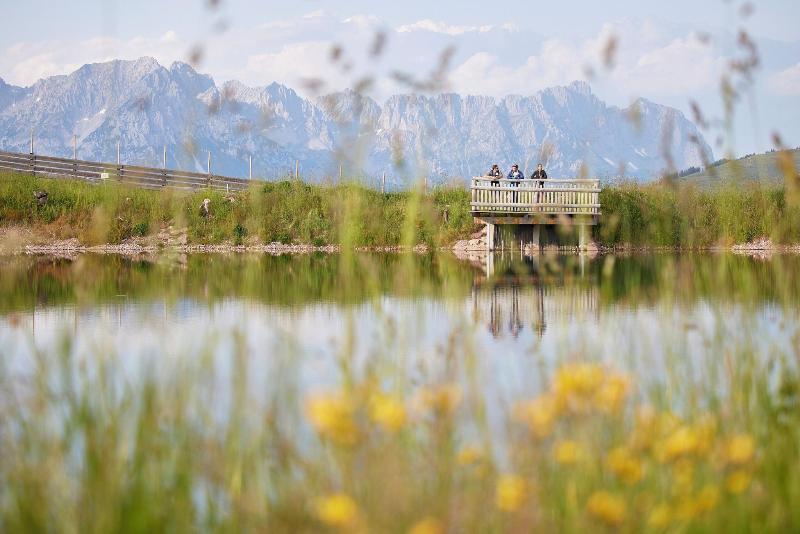 Das Hohe Salve Sportresort - Aktivite