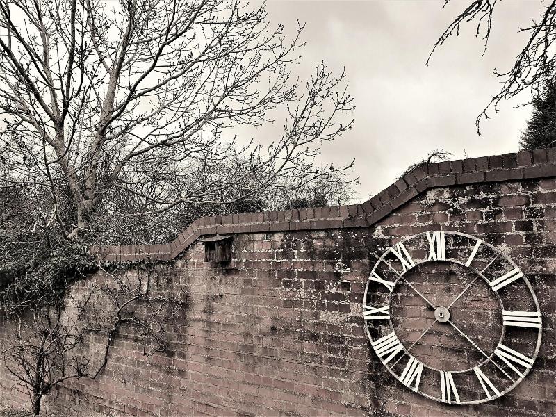 Nuthurst Grange Country House Hotel - Genel
