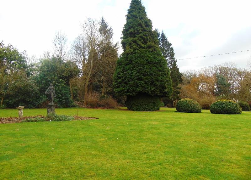 Nuthurst Grange Country House Hotel - Genel