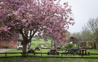 The Langton Arms fotoÄŸrafÄ±