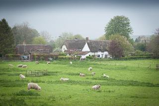 The Langton Arms fotoÄŸrafÄ±