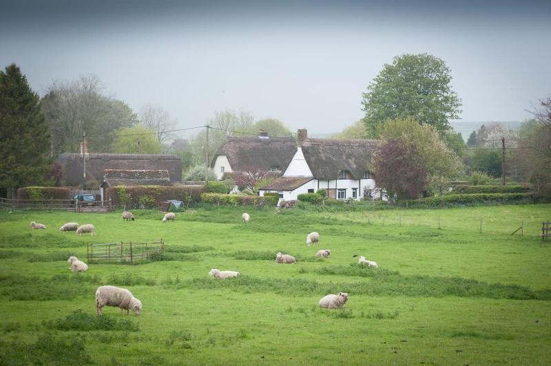 The Langton Arms - Genel