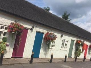 The Swan Inn fotoÄŸrafÄ±