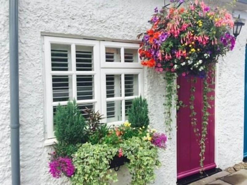 The Swan Inn - Genel
