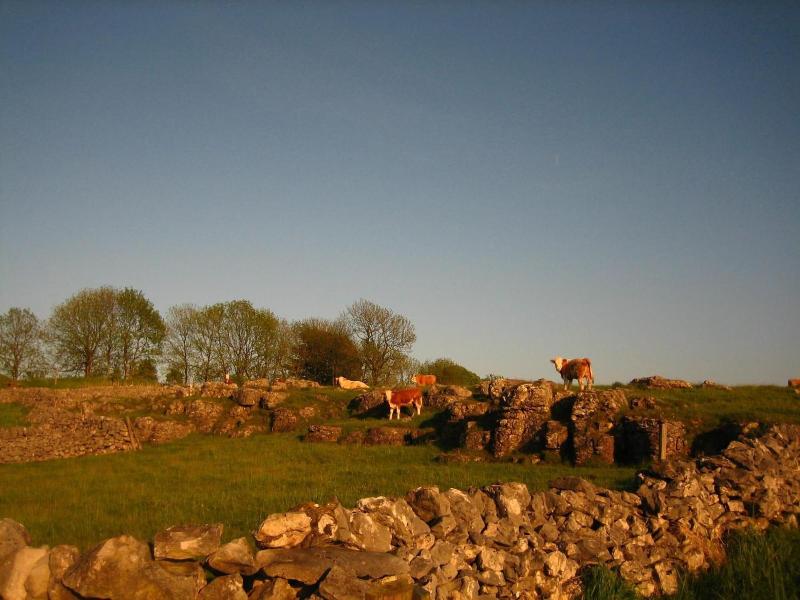 Biggin Hall Hotel - Genel