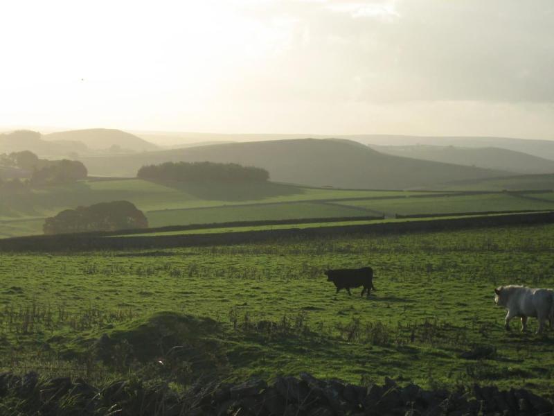Biggin Hall Hotel - Genel