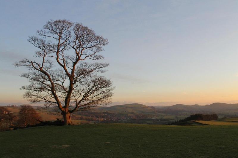 Biggin Hall Hotel - Genel