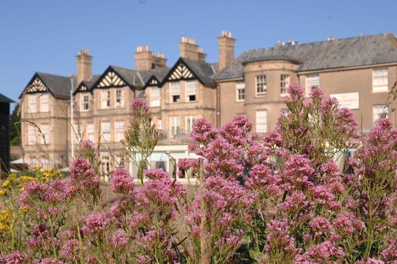 Wentworth Hotel - Genel