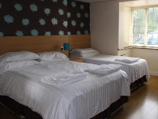 Debden Guest House fotoÄŸrafÄ±