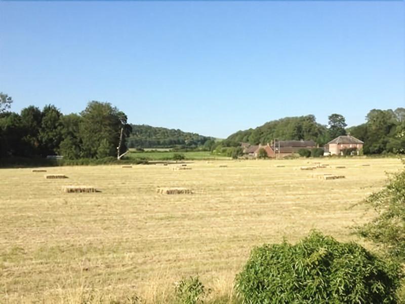 Home Farm - Genel