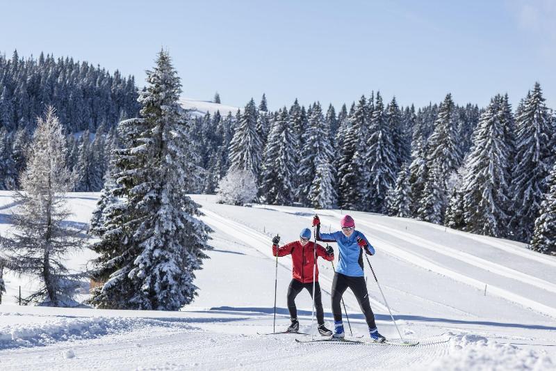Waldhotel Am Notschreipass - Aktivite