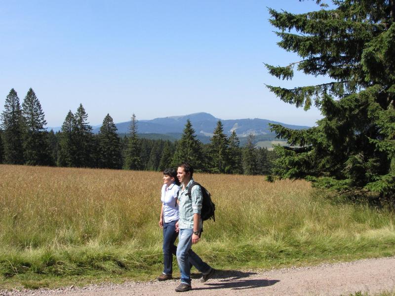 Waldhotel Am Notschreipass - Aktivite