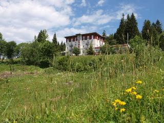 Waldhotel Am Notschreipass fotoÄŸrafÄ±