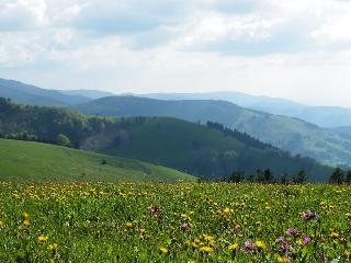Waldhotel Am Notschreipass fotoÄŸrafÄ±