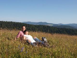 Waldhotel Am Notschreipass fotoÄŸrafÄ±