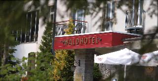 Waldhotel Am Notschreipass otel fotoğrafı