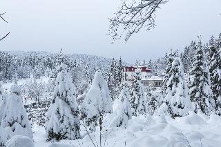 Waldhotel Am Notschreipass fotoÄŸrafÄ±
