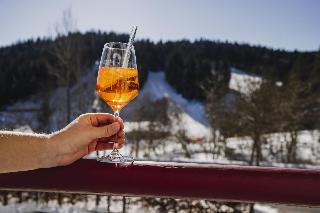 Waldhotel Am Notschreipass fotoÄŸrafÄ±