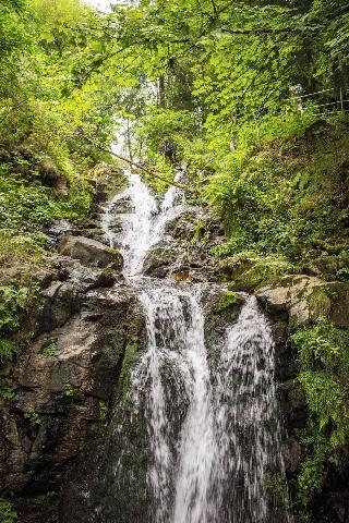 Waldhotel Am Notschreipass fotoÄŸrafÄ±