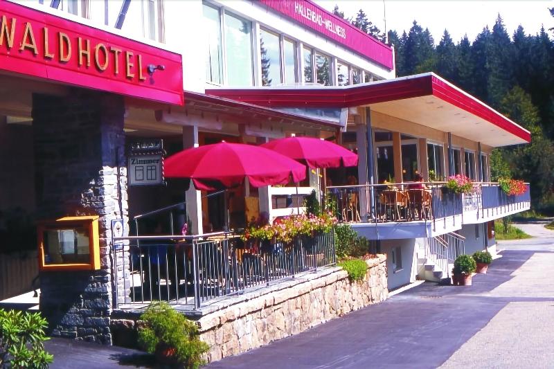 Waldhotel Am Notschreipass - Genel