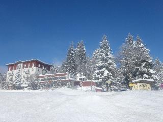 Waldhotel Am Notschreipass fotoÄŸrafÄ±