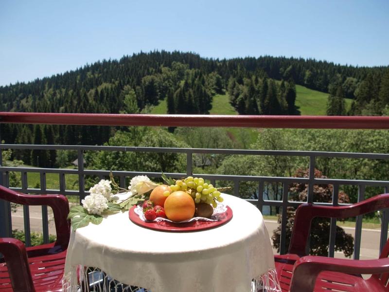 Waldhotel Am Notschreipass - Oda