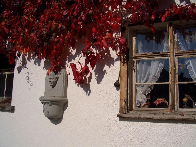 Landgasthof Rössle - Beim Kräuterwirt - Teras