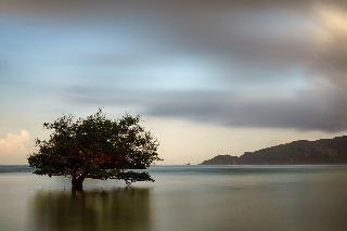 Segara Anak Hotel fotoÄŸrafÄ±