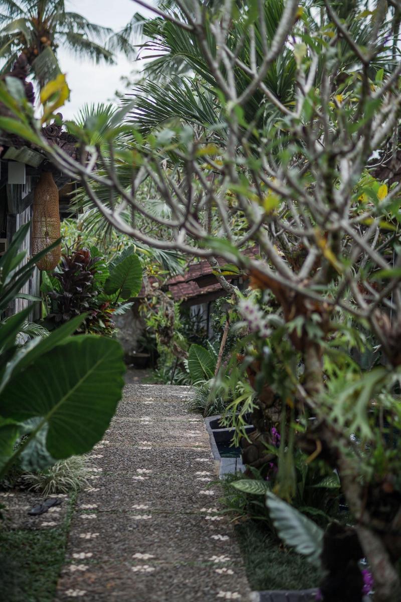 Green Taman Ubud - Genel