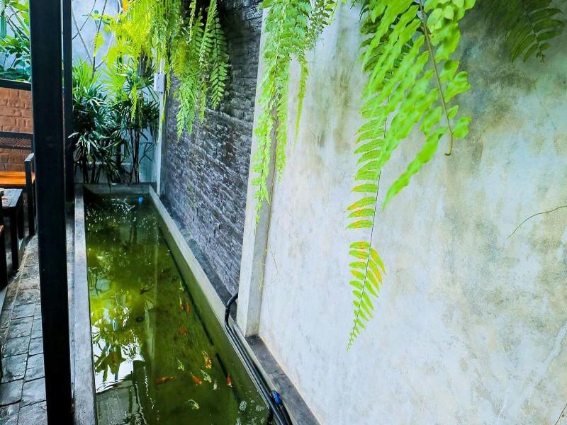 Paradiso Boutique Resort - Genel