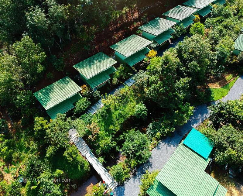 The Mouth Resort - Genel