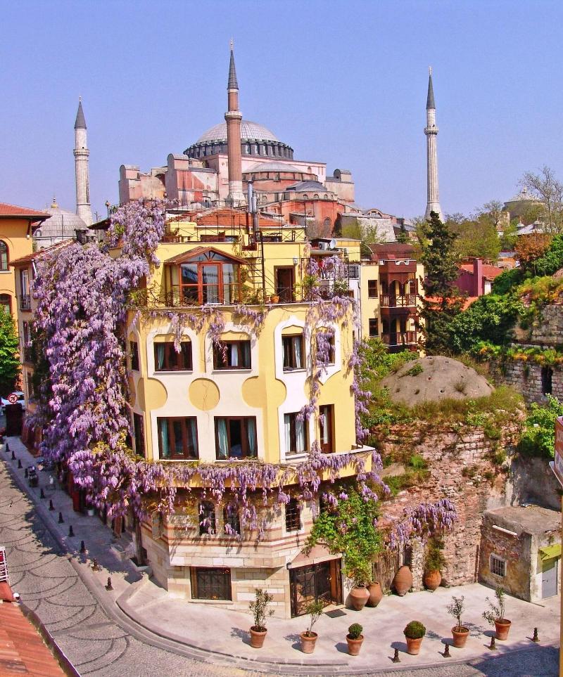 Hotel Empress Zoe - Genel
