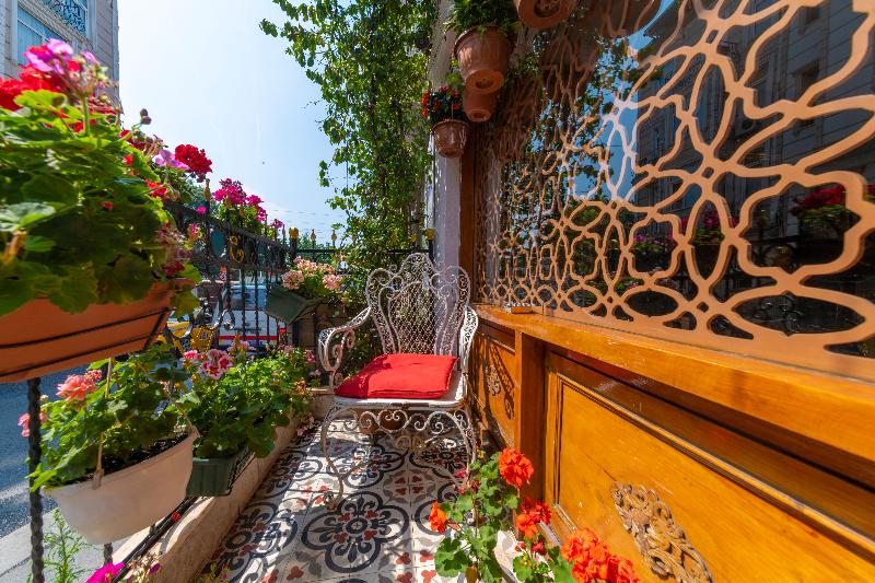 Walnut Shell Hotel - Genel