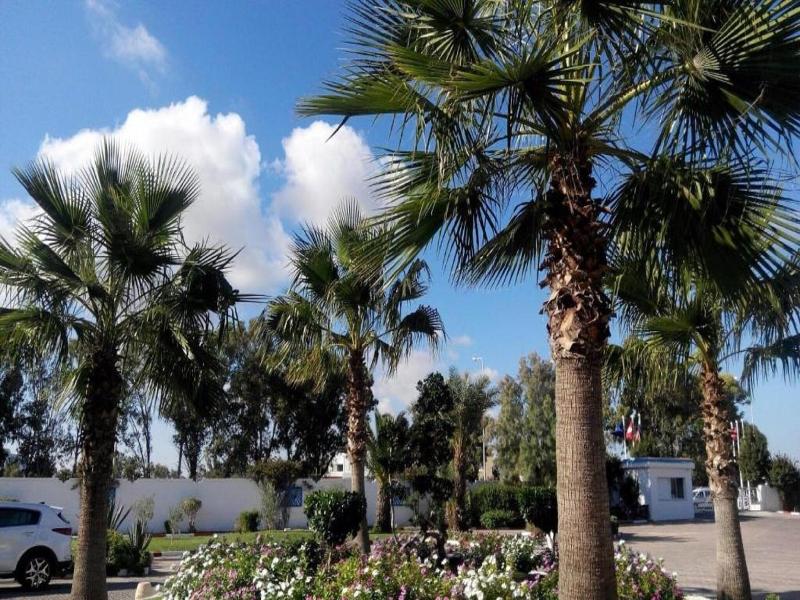 Palmyra Holiday Resort & Spa - Families and Couple - Teras