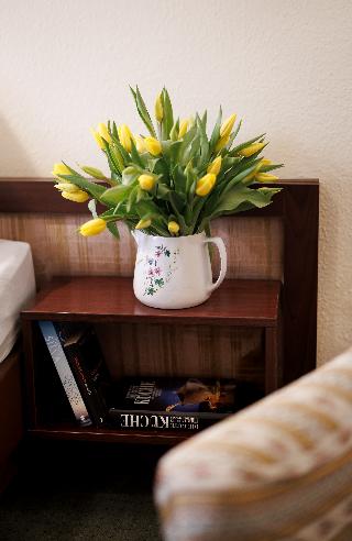 Hotel Pension Continental fotoÄŸrafÄ±